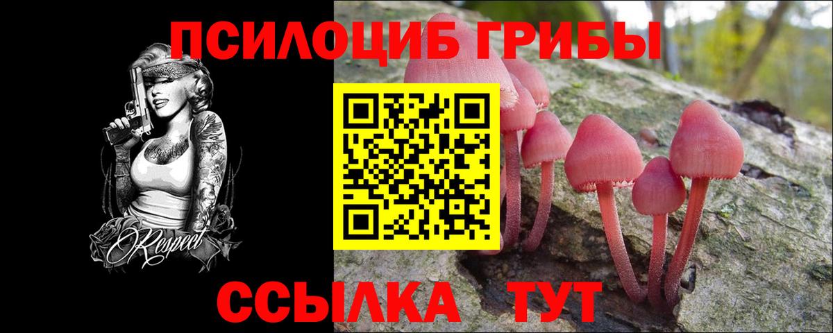 Псилоцибиновые грибы Psilocybine cubensis Славгород